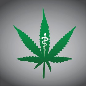 Medical Marijuana Money Seized